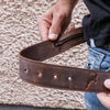 Belt with Secret Compartment
